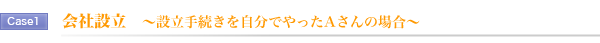 Case1.会社設立 ~設立手続きを自分でやったAさんの場合~ Case1.会社設立 ~設立手続きを自分でやったAさんの場合~